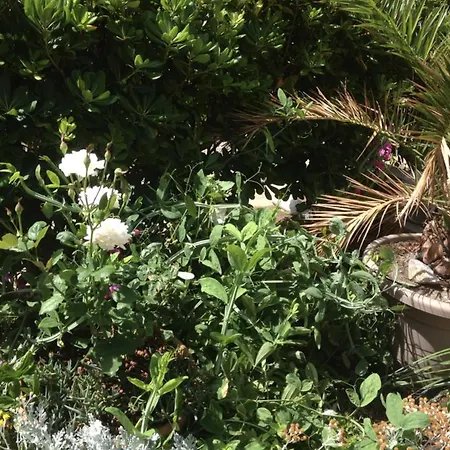 Vacance Aphrodite, Village Naturiste Aphrodite Apartment *